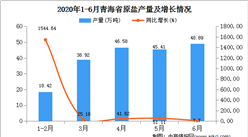 2020年1-6月青海省原鹽產量為197.89萬噸  同比增長32.82%