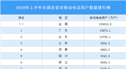 2020年上半年全国各省市移动电话用户数量排行榜：江苏逼近1亿户（图）