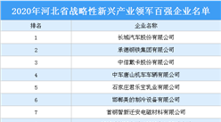 2020年河北省战略性新兴产业领军百强企业排行榜