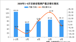 2020年1-6月甘肃省粗钢产量为447.58万吨  同比增长23.83%