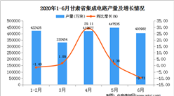 2020年1-6月甘肃省集成电路产量为2024274.0万块   同比增长24.93%
