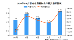 2020年1-6月甘肃省塑料制品产量为10.20万吨  同比增长35.82%