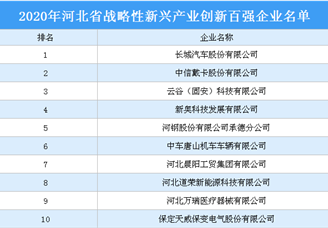 2020年河北省战略性新兴产业创新百强企业排行榜