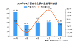 2020年1-6月甘肃省生铁产量为112.82万吨  同比增长25.09%