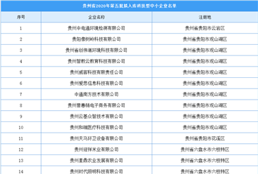 贵州省2020年第五批拟入库科技型中小企业公示名单出炉（附完整名单）