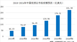 2020年中国视频云行业发展现状及市场规模预测分析（图）