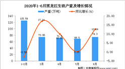 2020年6月黑龙江生铁产量及增长情况分析