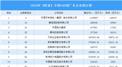 2020年《財富》中國500強廣東企業排行榜（附完整榜單）