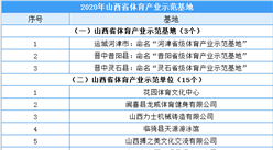 2020年山西省體育產業示范基地/單位/項目名單出爐（附全名單）