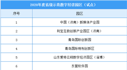 2020年度山東省級示范數字經濟園區（試點）建設清單：17家園區入選