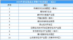 2020年度山東省級成長型數字經濟園區（試點）建設清單出爐（附全名單）