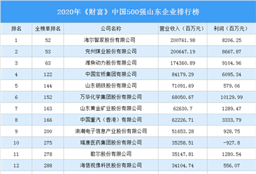 2020年《财富》中国500强山东企业排行榜（附完整榜单）