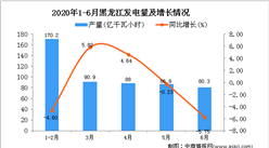 2020年1-6月黑龍江發電量為527.8億千瓦小時 同比增長1.38%