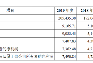 上海保立佳化工首次发布在创业板上市 上市主要存在风险分析(图）
