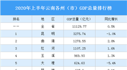 2020年上半年云南各州（市）GDP排行榜：大理等6城增速负增长（图）