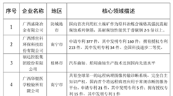 2020年广西最具潜力民营企业排行榜