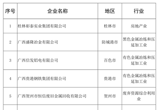 2020年广西民营企业纳税10强排行榜