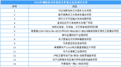 2020年度湖南省对外投资合作重点培育项目名单出炉：共37个项目