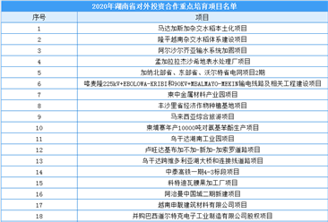 2020年度湖南省对外投资合作重点培育项目名单出炉：共37个项目