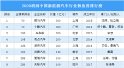 2020胡润中国新能源汽车行业独角兽排行榜