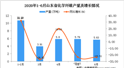 2020年1-6月山東省化學纖維產量同比下降22.1%