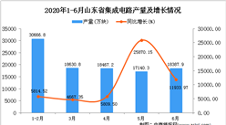 2020年6月山東省集成電路產量及增長情況分析