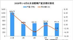 2020年6月山東省粗鋼產量及增長情況分析