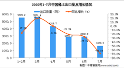 2020年1-7月中國稀土出口量及金額增長情況分析
