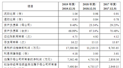 上海保立佳化工首次发布在创业板上市  上市存在风险分析（附图）