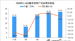 2020年1-6月湖北省紗產量為101.11萬噸 同比下降26.3%