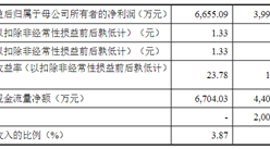 浙江宏昌电器科技首次发布在创业板上市  上市存在风险分析（附图）