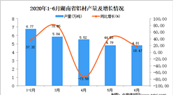2020年1-6月湖南省铝材产量为28.22万吨 同比增长37.66%