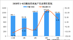 2020年1-6月湖南省水泥产量同比增长0.48%