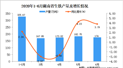2020年1-6月湖南省生铁产量为1023.3万吨 同比增长2%