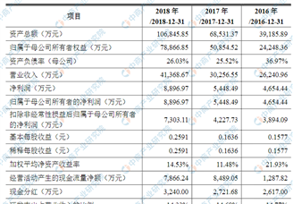 山大地纬软件首次发布在科创板上市 上市主要存在风险分析（图）