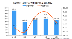 2020年6月广东省粗钢产量及增长情况分析