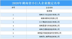 2020年湖南省小巨人企業擬定名單出爐：267家企業上榜（附名單）