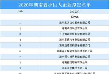 2020年湖南省小巨人企业拟定名单出炉：267家企业上榜（附名单）
