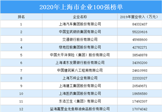 2020年上海市企业100强排行榜