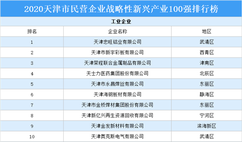 2020年天津市民营企业战略性新兴产业100强排行榜