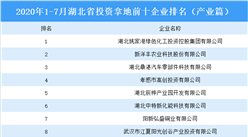 产业地产投资情报：2020年1-7月湖北省投资拿地前十企业排行榜（产业篇）
