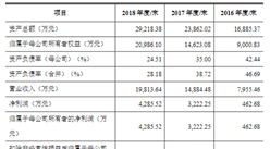 武漢興圖新科電子首次發布在科創板上市  上市主要存在風險分析（圖）