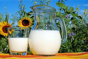 2020年8月牛奶市場價格及供需形勢預測分析：生鮮乳收購價繼續回升