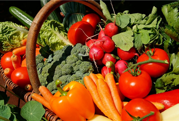 2020年8月蔬菜市场供需形势及价格预测：菜价格保持季节性下行