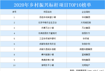 2020年乡村振兴标杆项目TOP10榜单：百色华润希望小镇上榜（附榜单）
