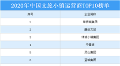 2020年中国文旅小镇运营商TOP10排行榜
