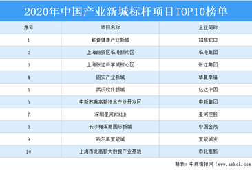 2020年中國產業新城標桿項目TOP10排行榜