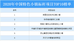 2020年中国特色小镇标杆项目TOP10榜单出炉：阿里巴巴杭州云栖小镇上榜（附名单）