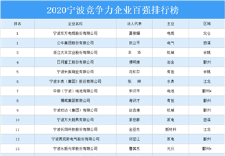 2020年宁波市竞争力企业百强排行榜