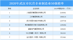 2020年武汉民营企业制造业50强排行榜